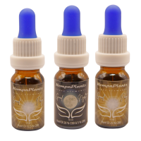 CBD-Öl Vollspektrum 25 % – Bild 3